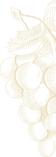 Viticoltura Biodinamica