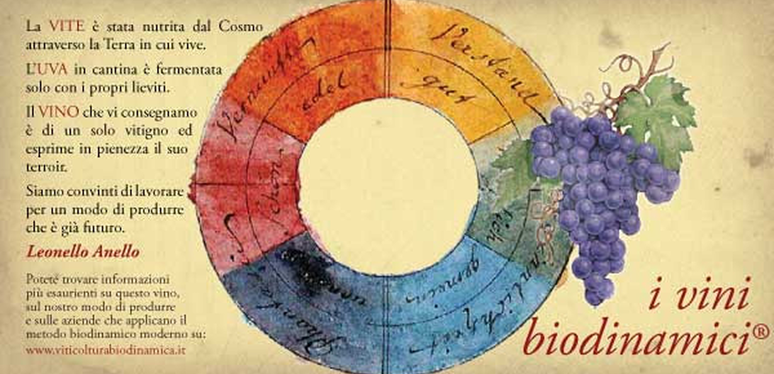 Viticoltura Biodinamica