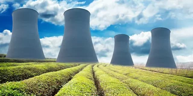 Viticoltura Biodinamica