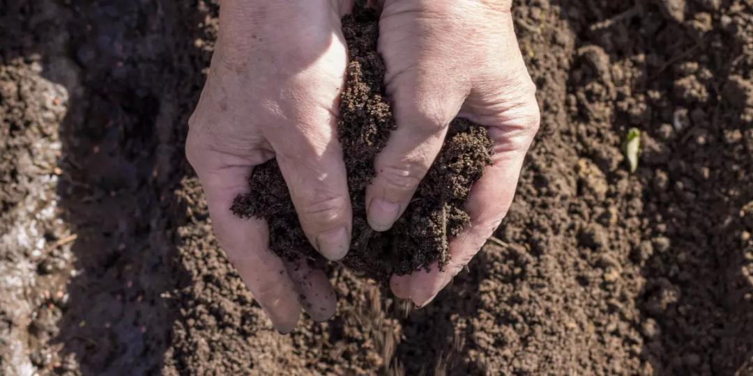 Viticoltura Biodinamica