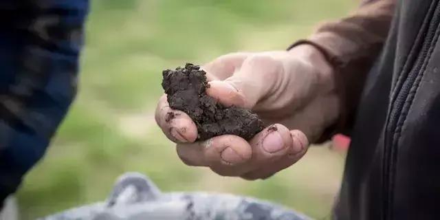 Viticoltura Biodinamica