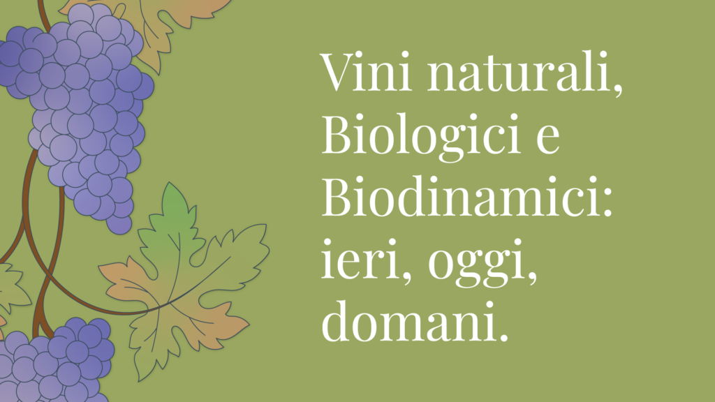 vini naturali